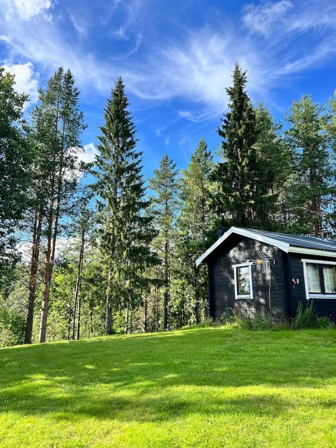 Villa Gemuetliches Blockhaus Im Wald Auktsjaur Esterno foto