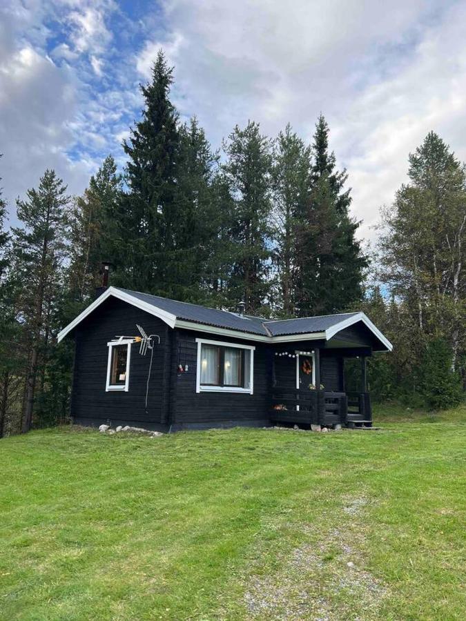 Villa Gemuetliches Blockhaus Im Wald Auktsjaur Esterno foto