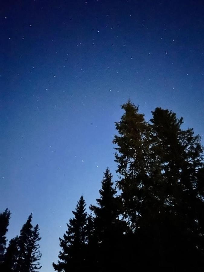 Villa Gemuetliches Blockhaus Im Wald Auktsjaur Esterno foto