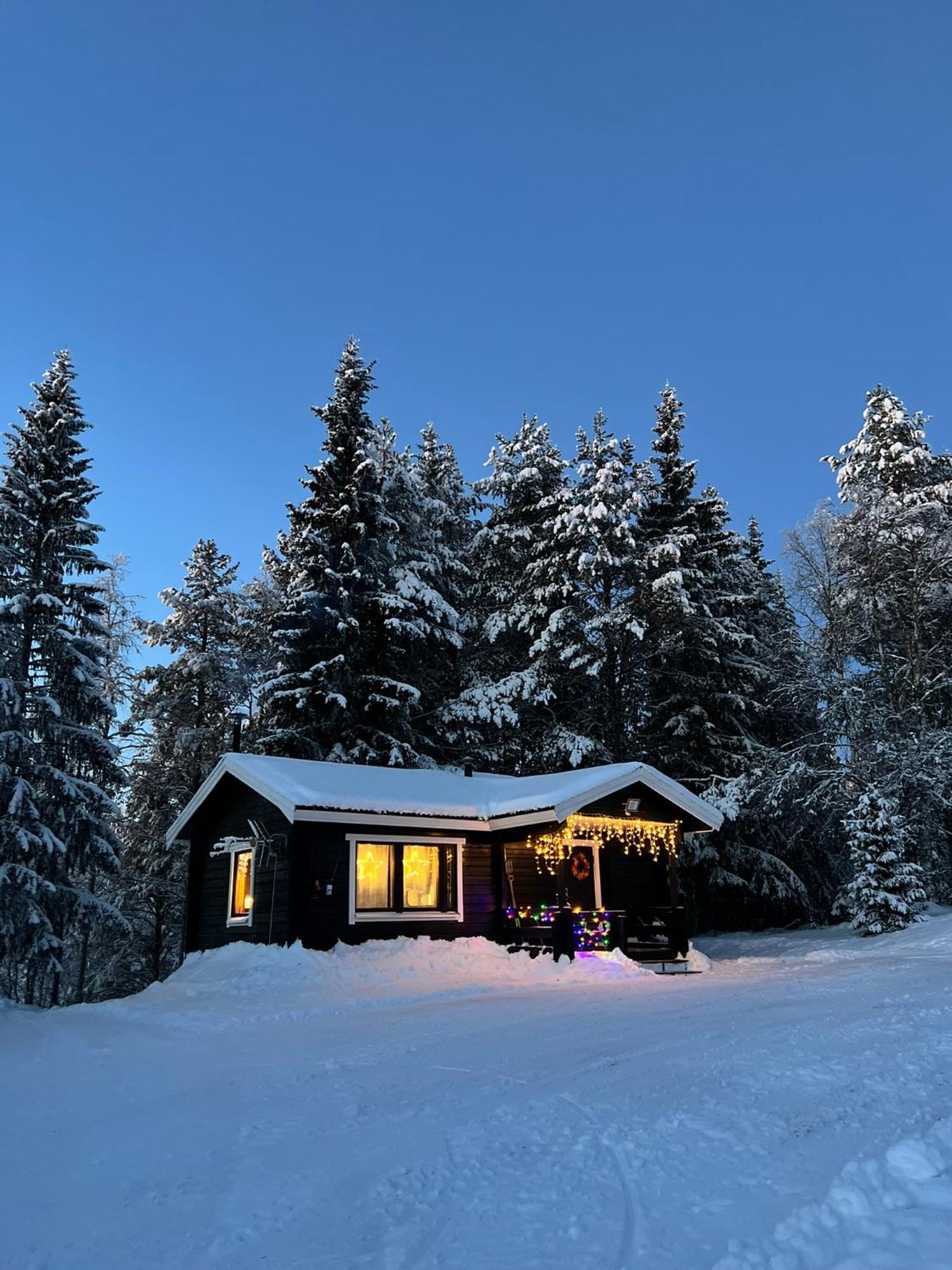 Villa Gemuetliches Blockhaus Im Wald Auktsjaur Esterno foto