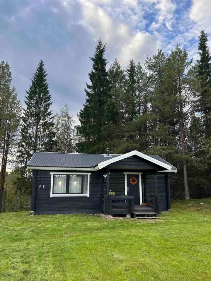 Villa Gemuetliches Blockhaus Im Wald Auktsjaur Esterno foto